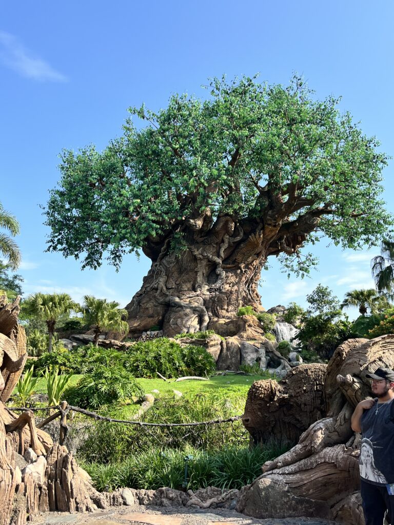 20250529 131811502 ios